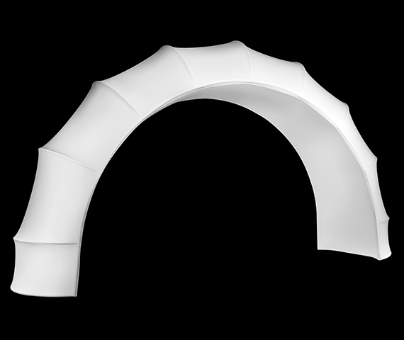 Ribbed Arch Image
