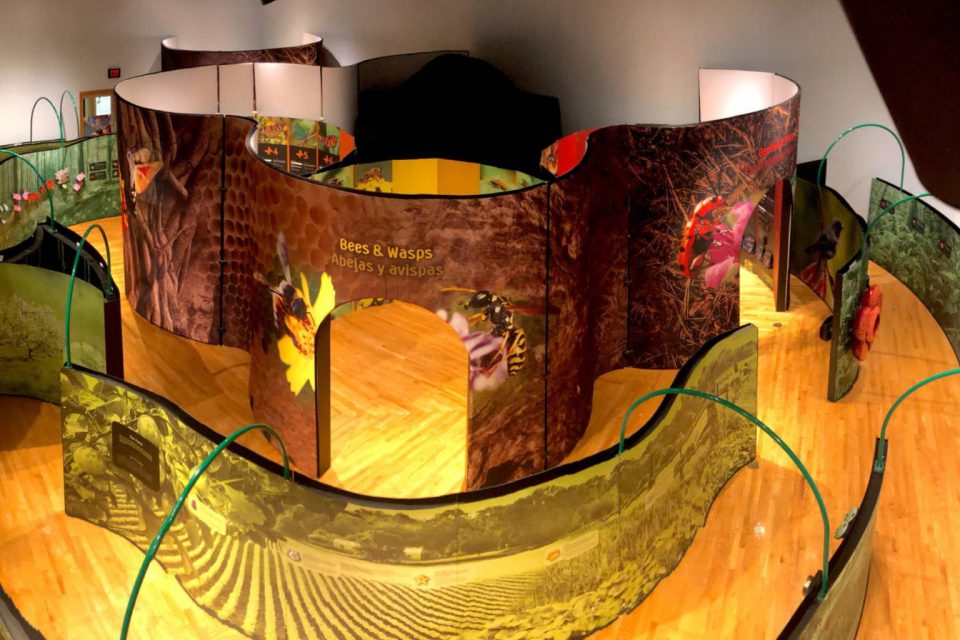 Minotaur Mazes Amazing Pollinators